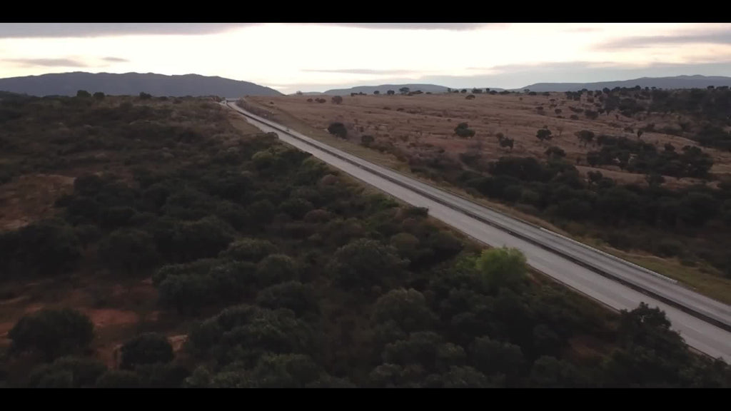 : Solid Wood Bookshelf with Glass Doors, Floor-Standing Storage Shelf, Wall-Mounted Narrow Cabinet with Extra Large Capacity, Bedside Bookcase with Storage Space, Christmas Gift, Black Friday Product